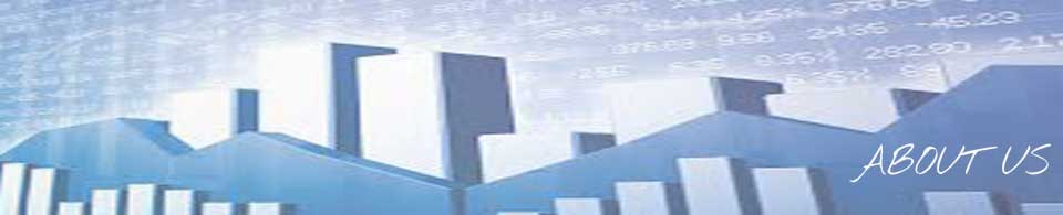 About Dhanlixmi Ltd.